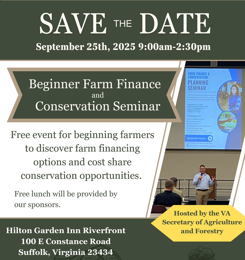 الصورة المصغرة FF Suffolk